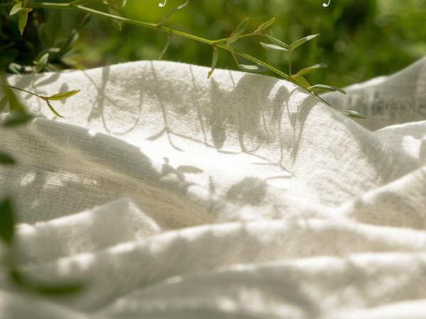 Discover Terra Moda's Organic Cotton Collections: Ethical, Breathable, and Built to Last