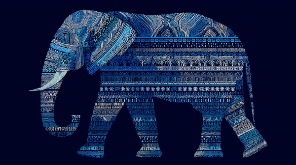 Indian Elephant Organic Tee